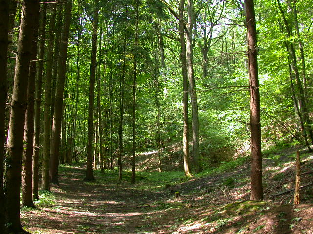 Uscita domenicale...